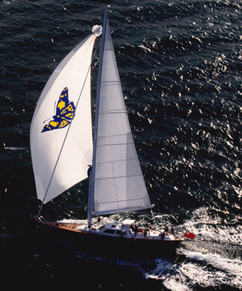 Lidgard Sailmakers - Lidgard_Sails_super_5.jpg